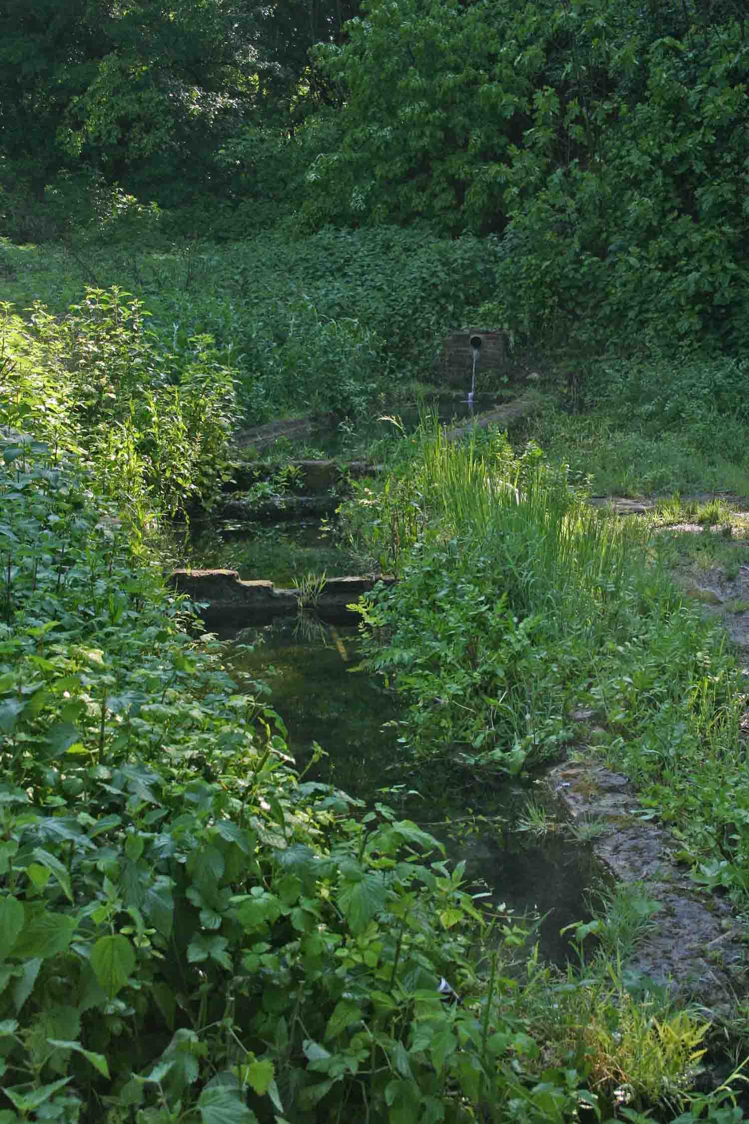 Fontanili del Lazio